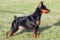 Multatuli Elisa