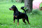 Eisha Of Transylvanian Legend