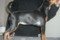 Dogbytes Safir