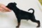 Stella Orientales Cooper