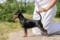 Multatuli Will Be Favorite Hope