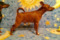 Multatuli Barklay