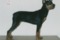 Humblepup Erotic Bonzer