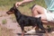Hardy Hunter Tayson