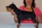 Grand Mollis Egipet