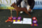 Default Chu Cao Hai Kennel