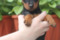 Barex Lab Zayka