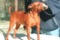 Lucy Dell' Alto Fondale