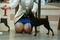 Magnifisent Ukraina Faina