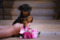 On-The Rise Lili