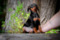 On-The Rise Leila