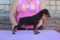 Ten Luny Infant Iney