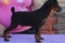 Ten Luny Keyston Keyg