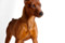Scooby De Espo