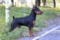 Mia Gracia Faeiz Fra Bartolomeo