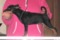 Exigor's Black Xana
