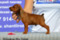Shantli Roz Hart