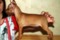 Sant Kreal Bombastic Blonde