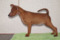 Schone Hund Polona