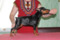 Vivien Corde Canem