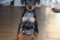 Cherry Black Iz Ligi Superpsov
