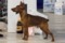 Brais