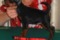 Blesk Prestolov Garmoniya Dushi