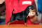 Multatuli Chiola