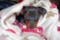 Annabell Soul La Bonita Noire