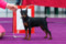 Energiya Lyubvi Olivia