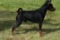 Baron Castle Mini Maxwell
