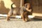 Baby Vom Camp Achensee