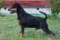 Multatuli Aristocrat