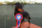 Bruno Junior