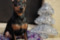 Annabell Soul Layza
