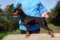 Baltic Bright Star Zarmina Labi