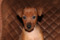 Patty Simba