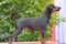 Magic Energy Alessa Gentle