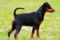 Multatuli Chanel Chance