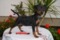 Lilly Grafin Von Burg Wildenstein