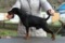 Helen Hoff Cherny Boomer