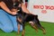 Ten Luny Tseys Ciceron