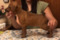 Duvinal Sherelin Shelby