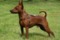Liubavo Cool Cooper
