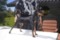 Logobon Black Nathalie