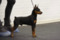 Ten Luny Landers Lars