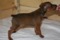 Grant Britt Artur Gray