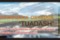Tuadash
