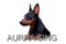 Aurra Sing