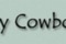 Crazy Cowboy's